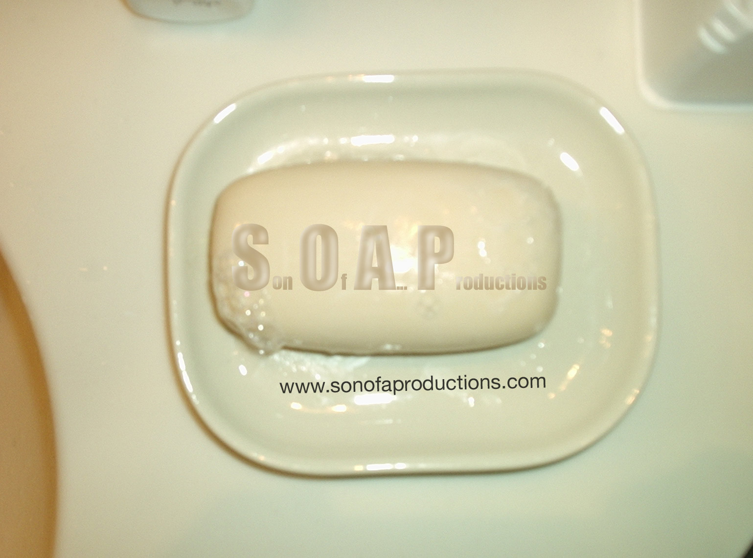soaplogo1.jpg